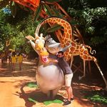 Alejandro Enciso - @alenci16 - Instagram