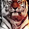 alejandroenciso205 - @alejandroenciso205 - TikTok