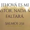 JHON ALEJANDRO ENCISO ORTIZ - @jhon.alejandro.en - TikTok