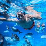 Alejandro Esparza - @alejandro.esparza.7792052 - Instagram