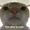 esperonalejandro - @esperonalejandro - TikTok