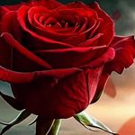 Alejandro Acosta - @alejandro_acosta_esquerra_ - Instagram