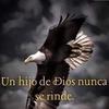 Alejandro Estayo - @alejandro.estayo - TikTok