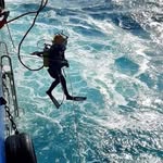 Alejandro Fabre - @fabre.alejandro - Instagram