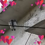 Luis Alejandro Fabre Garcia - @alejandrofabregarcia - Instagram