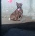 Alejandra Farach - Facebook