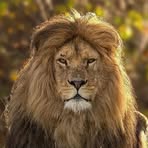 Alejandro Farrell - Facebook