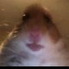Alejandro Fernandes - @alejandrofernande921 - TikTok