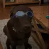 Alejandro Ferraro - @aferraro_999 - TikTok