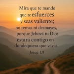 Alejandro Ferrero - @ferrero3265 - Instagram