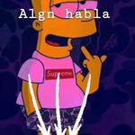 @alejandroferriols0 - Instagram