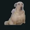 Alejandro Ferro - @alejandro.ferro.m - TikTok