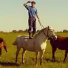 Alejandro Ferro - @donalessandroferro - TikTok