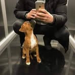 Alejandro Fiallo - Facebook