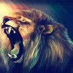 Alejandro Fiore - @fiore_alejandro_ - Instagram