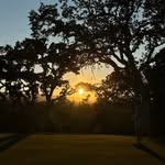 Alejandro Fischer - @alejandrofischergolf - Instagram
