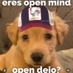Alejandro Fitzgerald - @alejandro.fitzgerald.1 - Instagram