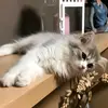 Alejandro Florido Angel - @alejandro.florido0 - TikTok