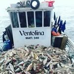 Alejandro Fontes - @alejandro.fontes.336 - Instagram