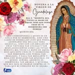Alejandro Fontes - @alejandro.fontes - Instagram