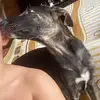 Alejandro foronda - @alejandroforonda07 - TikTok