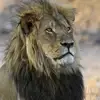 AlejandroFowler194 - @alejandrofowler2 - TikTok