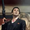 Alejandro Fraga887 - @alejandrofraga03 - TikTok