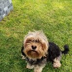 Alejandro Fraga - Facebook