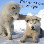 Alejandro Fraga - Facebook