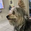 Alejandro Fraga - @alejandrofraga8 - TikTok
