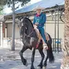 Alejandro Fraga - @alejandrofraga24 - TikTok