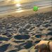 Alejandro Francisco - Facebook