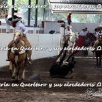 Alejandro Gaeta🐮🐴 - @alejangaeta - Instagram