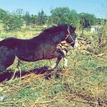 Alejandro Gaeta - @alejandro.gaeta.9887 - Instagram