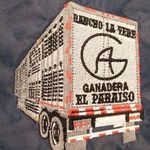 Alejandro Galaviz - @alejandro.galavis - Instagram