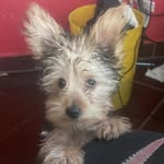 Alejandro Torres - @alejandro_gallagher07 - Instagram