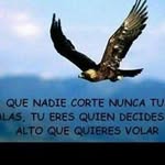 Alejandro Galo - @galo.alejandro - Instagram