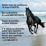 Alejandro Gamino - @gamino_alejandro - Instagram