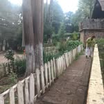 Alejandro Garcilazo Ruiz - @alejandrogarcilazoruiz - Instagram