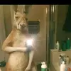 Alejandro Ogari - @alejandro.ogari - TikTok