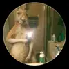 Alejandro Garzon - @alejandro.garzon15 - TikTok