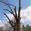 Alejandro Guardian - @alejandro.guardia90 - TikTok