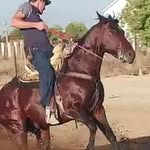 Alejandro Landeros - @alegandrolanderos - Instagram
