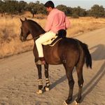 Alejandro Lechuga Medina - @alejandro_lechugam95 - Instagram