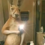 @alejandro_liceaaaa - Instagram