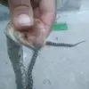 Alejandro Loza - @alejandro.loza14 - TikTok