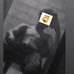 Alejandro Lozada - Facebook