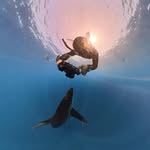Alejandro Lucero - @alejandro_lugon - Instagram