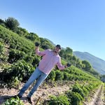 Alejandro Lucero Cardoza - @alejandro_lucero_cardoza - Instagram