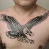 Alejandro Magdaleno - @alexms030575 - TikTok